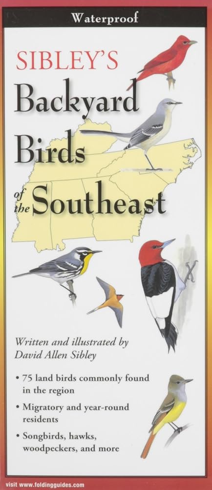 Sibley's Backyard Birds of the Southeast (Foldingguides) cover image