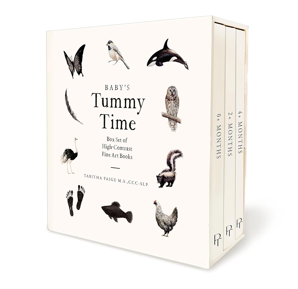 Baby's Tummy Time Book Box Set: A 3-Book Box Set of High-Contrast Art for Visual Stimulation at Tummy Time (Our Little Adventures Series) cover image
