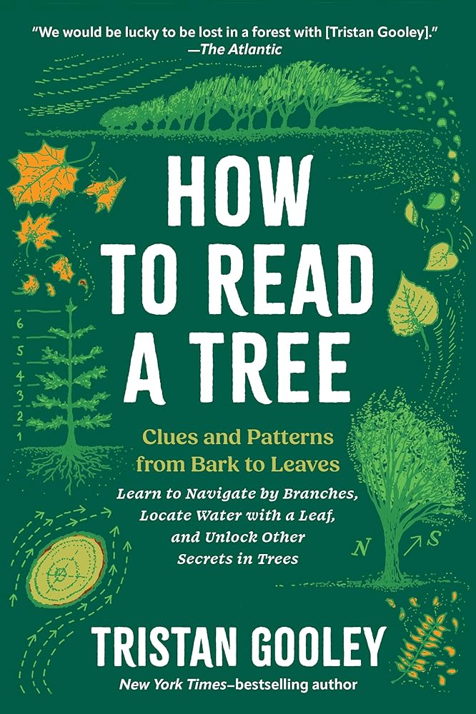 How to Read a Tree: Clues and Patterns from Bark to Leaves (Natural Navigation) cover image