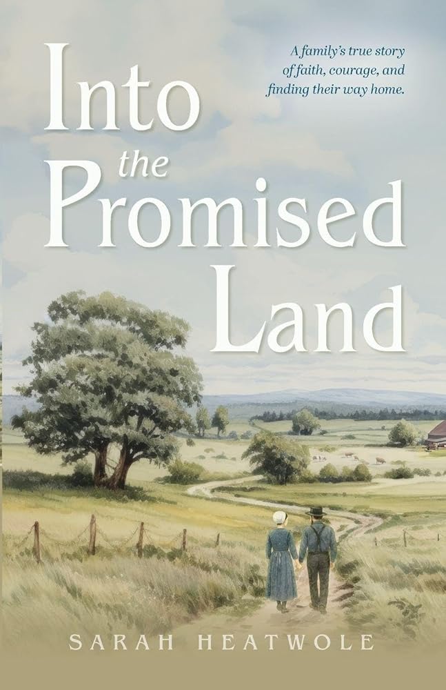 Into the Promised Land cover image