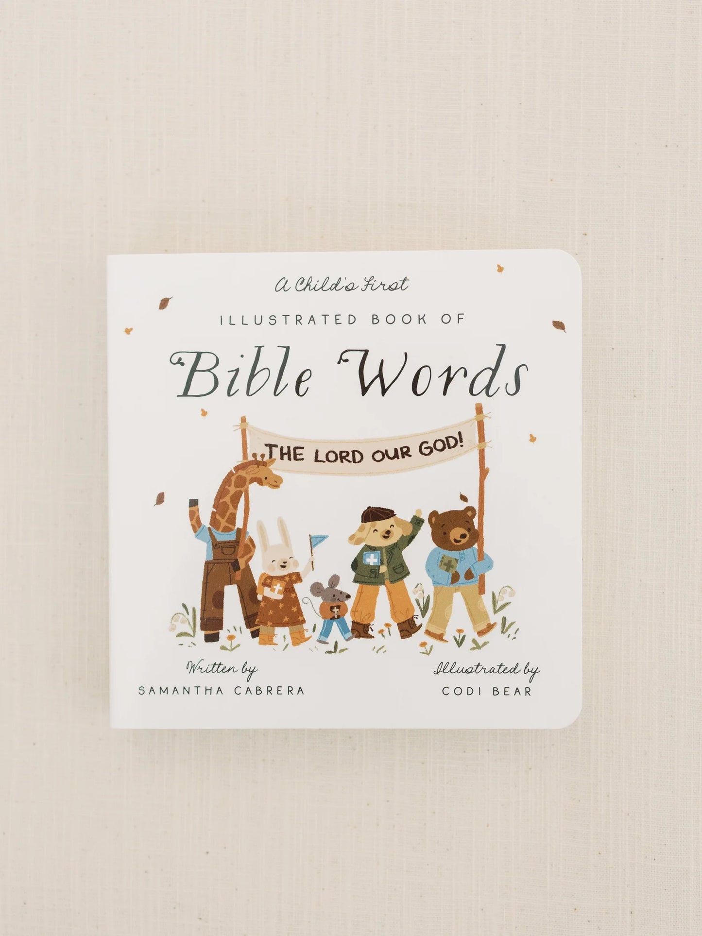 The Illustrated Book of Bible Words