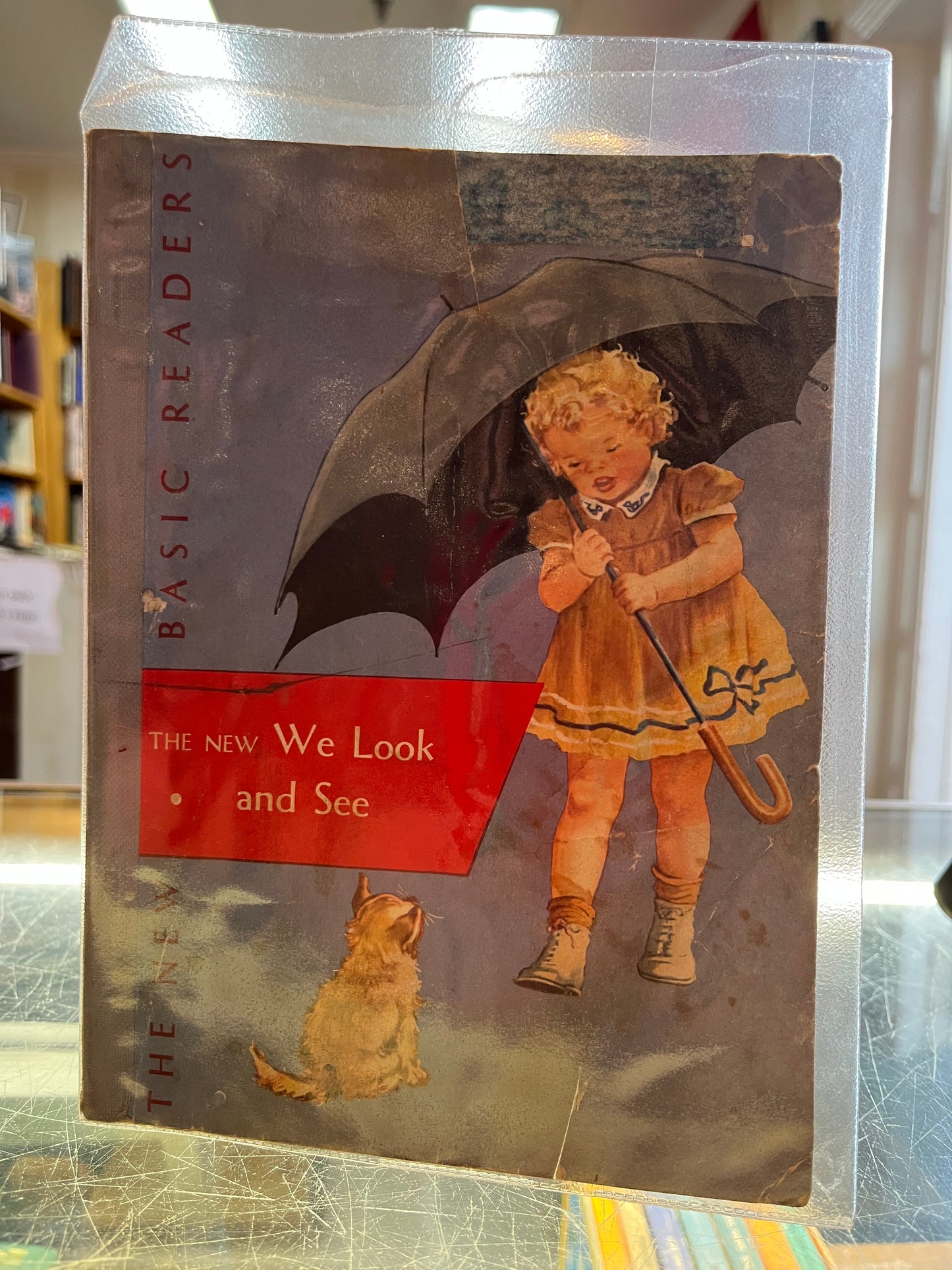 The New We Look and See
