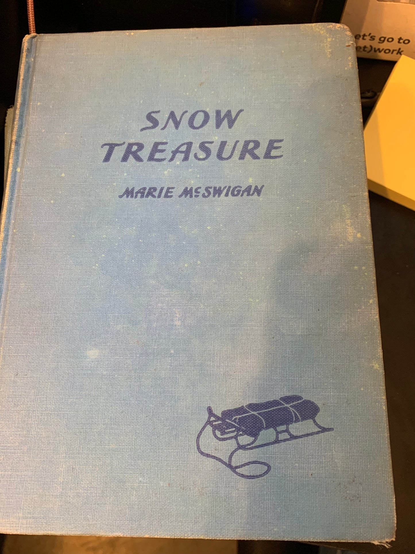 Snow Treasure