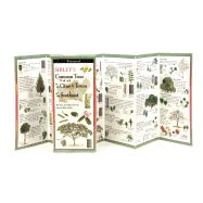 Sibley's Common Trees of the Southeast