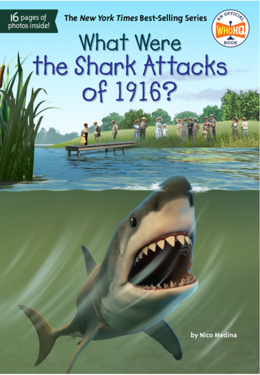 What were the Shark Attacks of 1916
