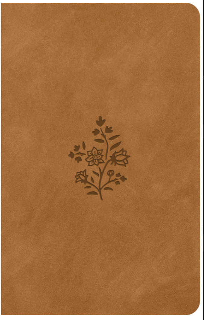 ESV Premium Gift Bible (Trutone, Nubuck Caramel, Wildflower Design)