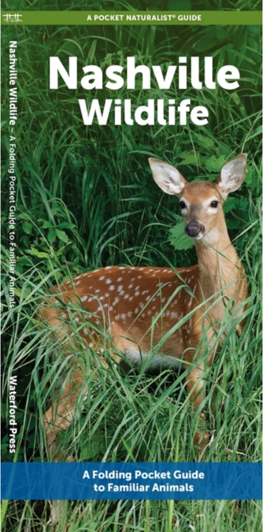 Nashville Wildlife (Pocket Naturalist Guide)