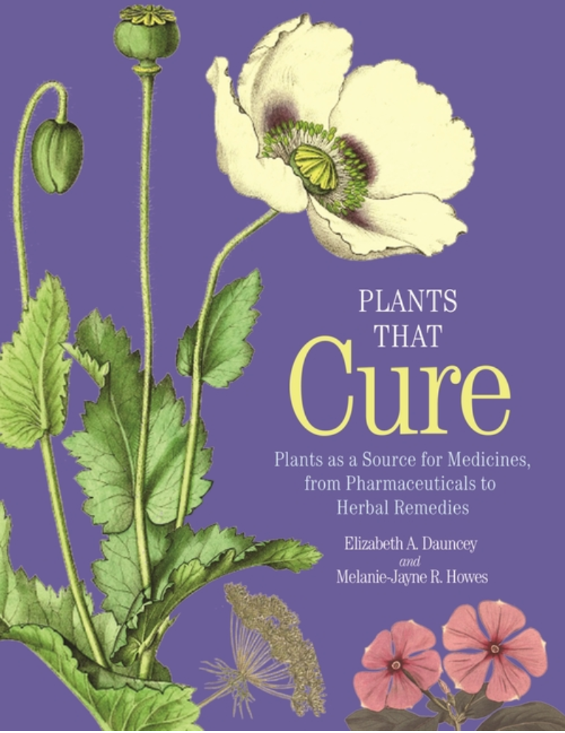 Plants That Cure: Plants as a Source for Medicines, from Pharmaceuticals to Herbal Remedies
