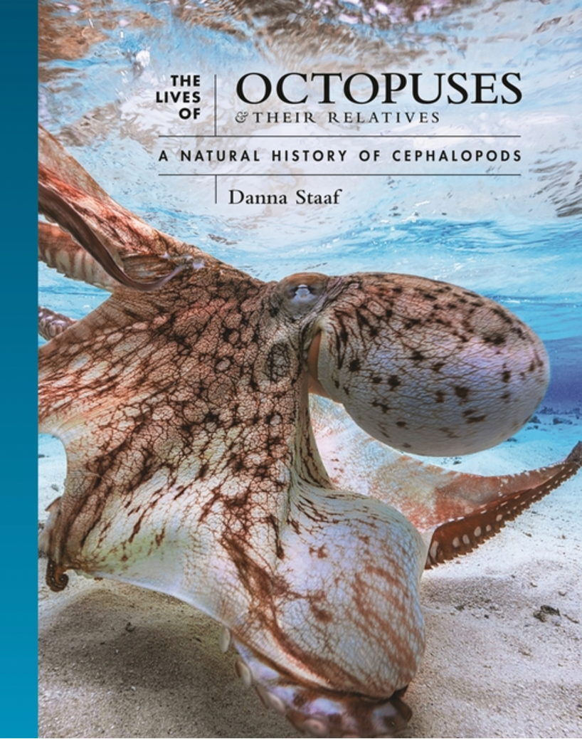 The Lives of Octopuses and Their Relatives: A Natural History of Cephalopods (Lives of the Natural World #8)