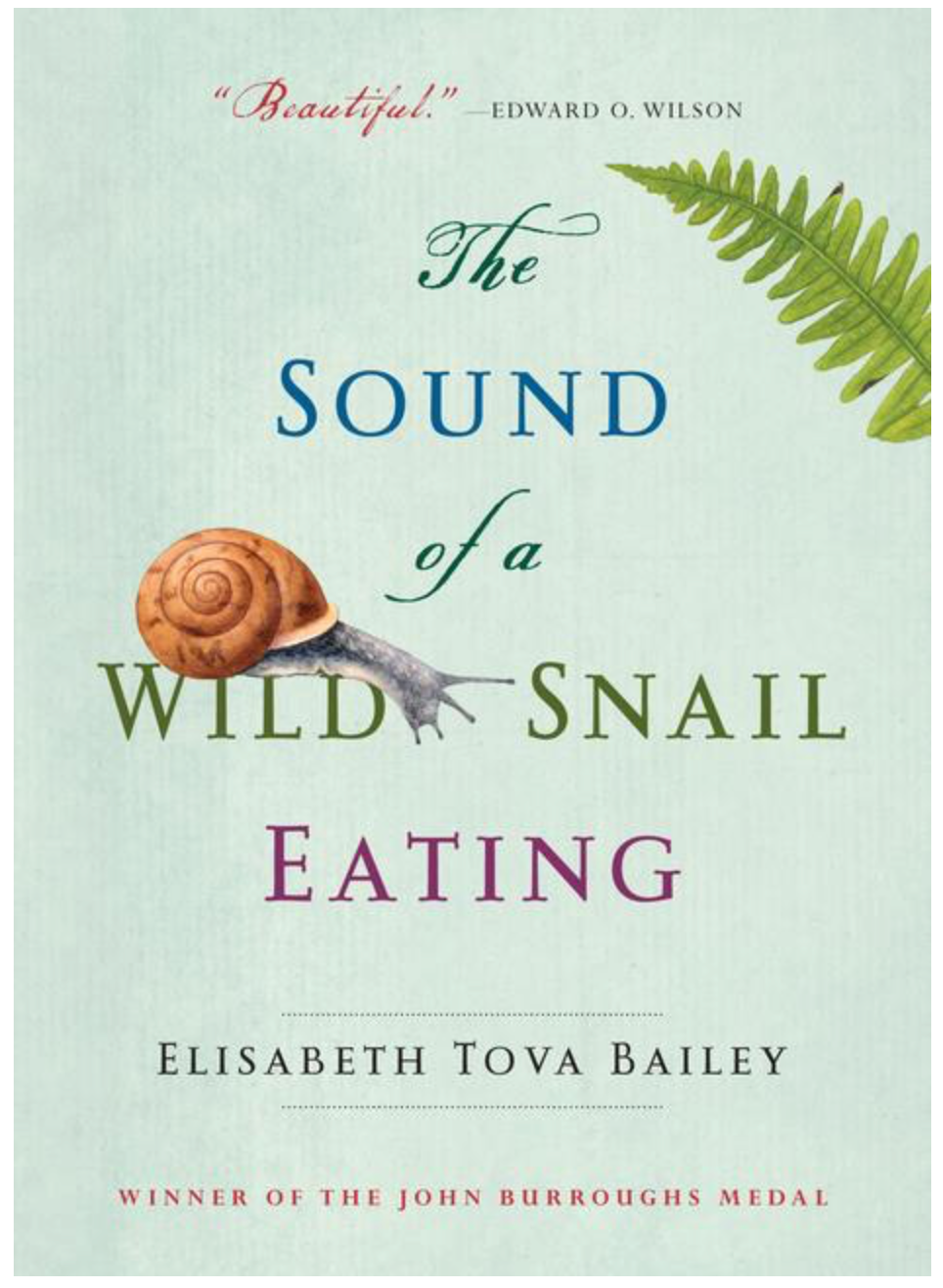 The Sound of a Wild Snail Eating