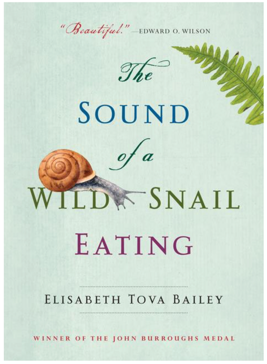The Sound of a Wild Snail Eating