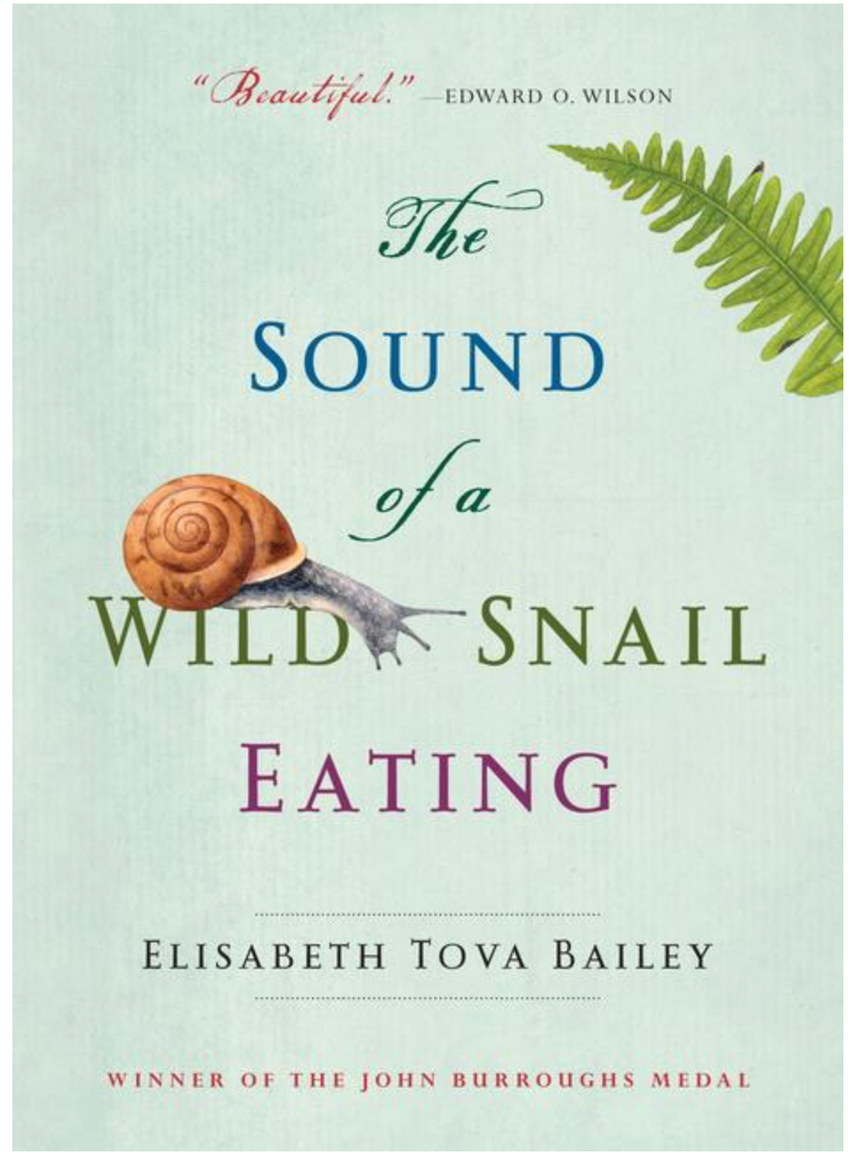 The Sound of a Wild Snail Eating