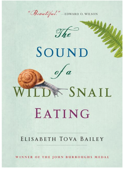 The Sound of a Wild Snail Eating