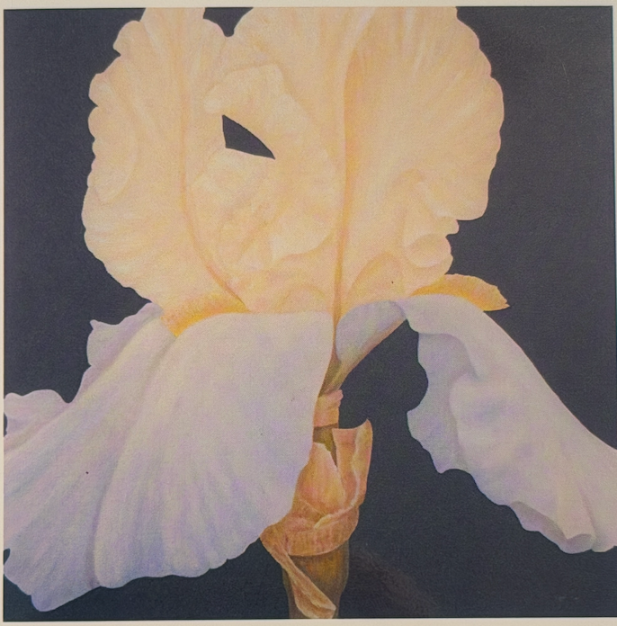 Nola Nash Greeting Card