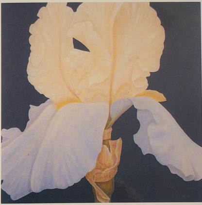 Nola Nash Greeting Card