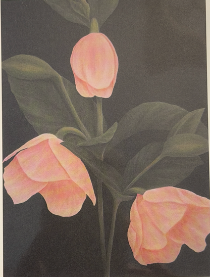 Nola Nash Greeting Card
