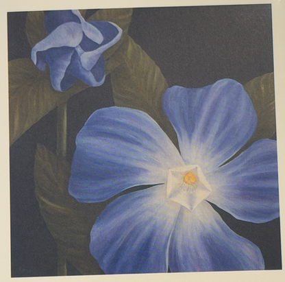 Nola Nash Greeting Card