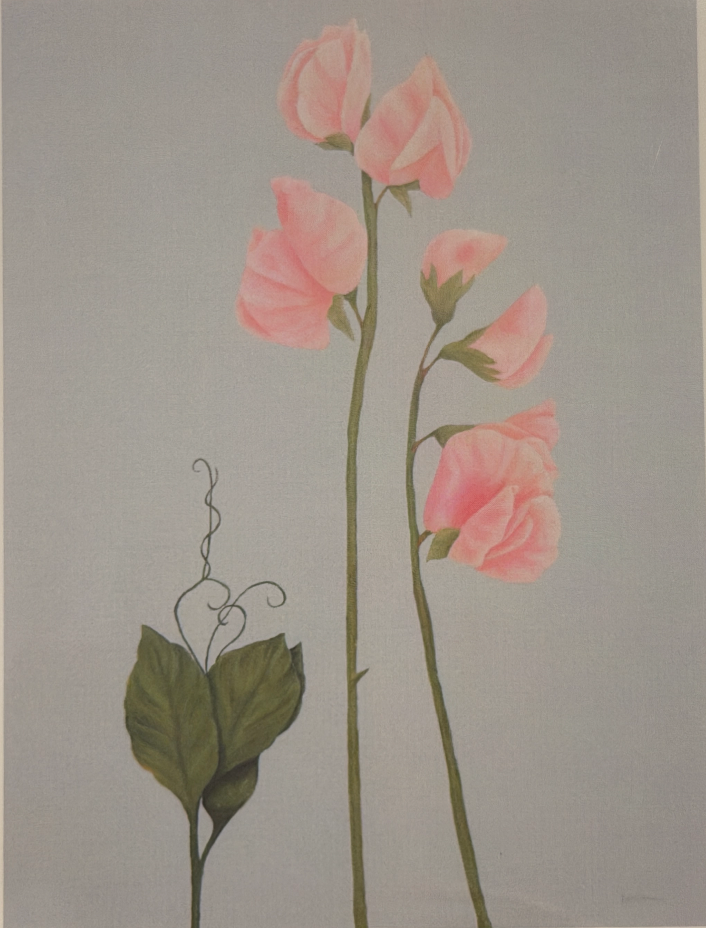 Nola Nash Greeting Card