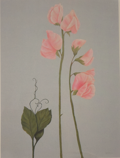 Nola Nash Greeting Card