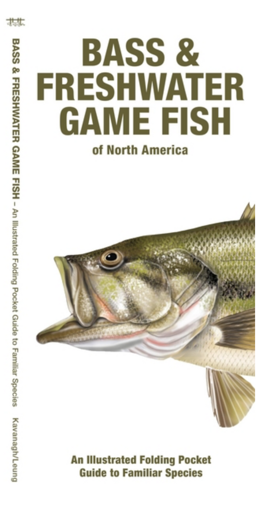 Bass & Freshwater Game Fish of North America: An Illustrated Folding Pocket Guide to Familiar Species (2ND ed.)