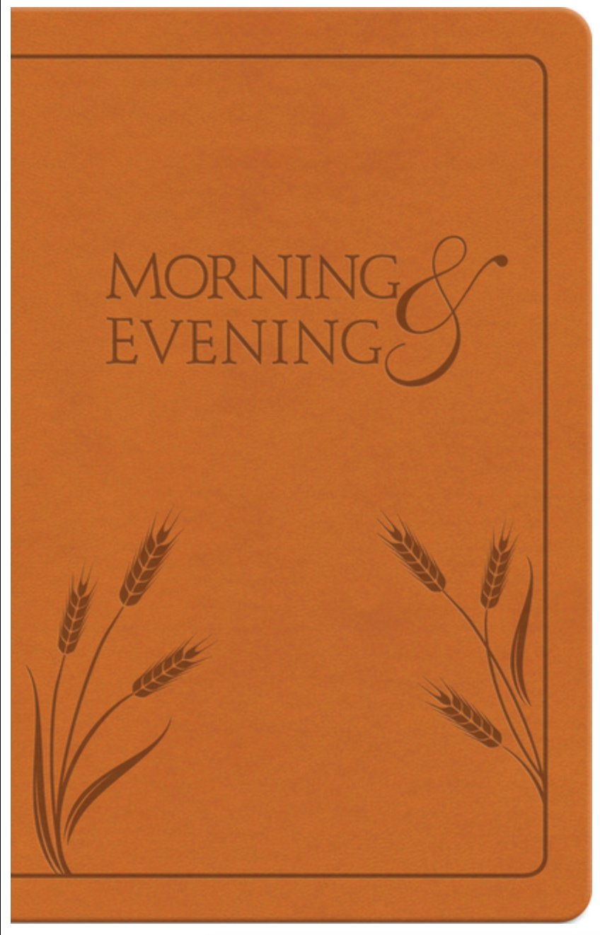 Morning and Evening: New International Version by Charles H. Spurgeon