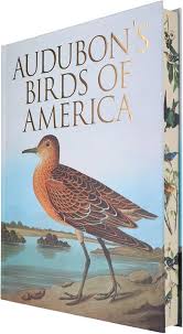 Audubon's Birds of America (Arcturus Epic Classics) by John James Audubon