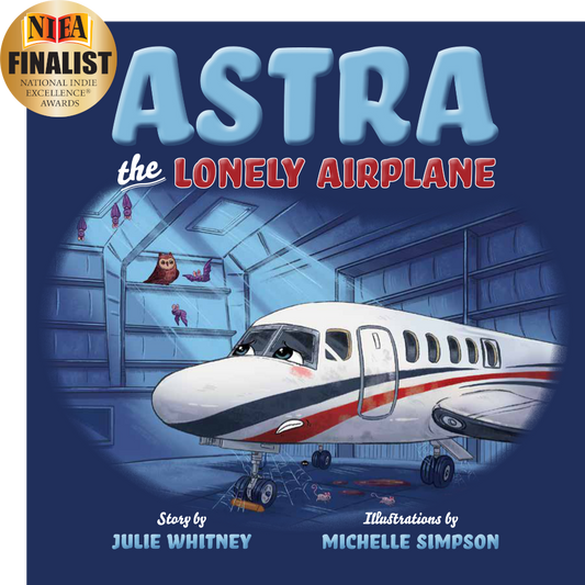 Astra The Lonely Airplane