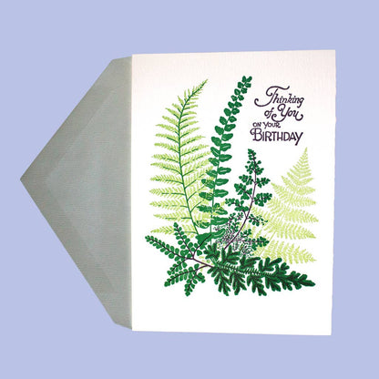 Ferns