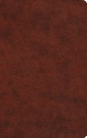 ESV Large Print Value Thinline Bible (TruTone, Chestnut)
