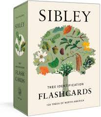 Sibley Tree Identification Flashacards