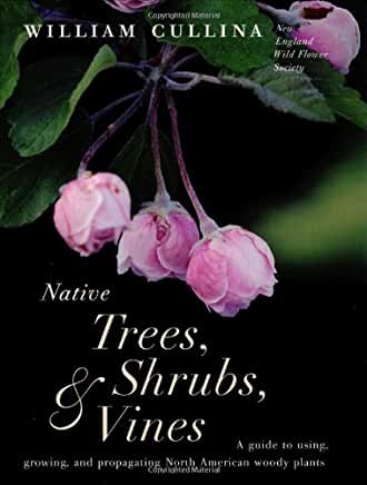 Native Trees, Shrubs, and Vines: A Guide to Using, Growing, and Propagating North American Woody Plants