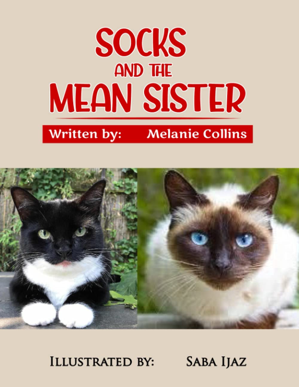 Socks and the Mean Sister