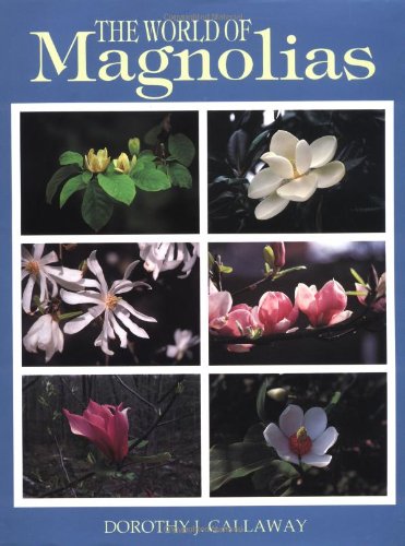 The World of Magnolias