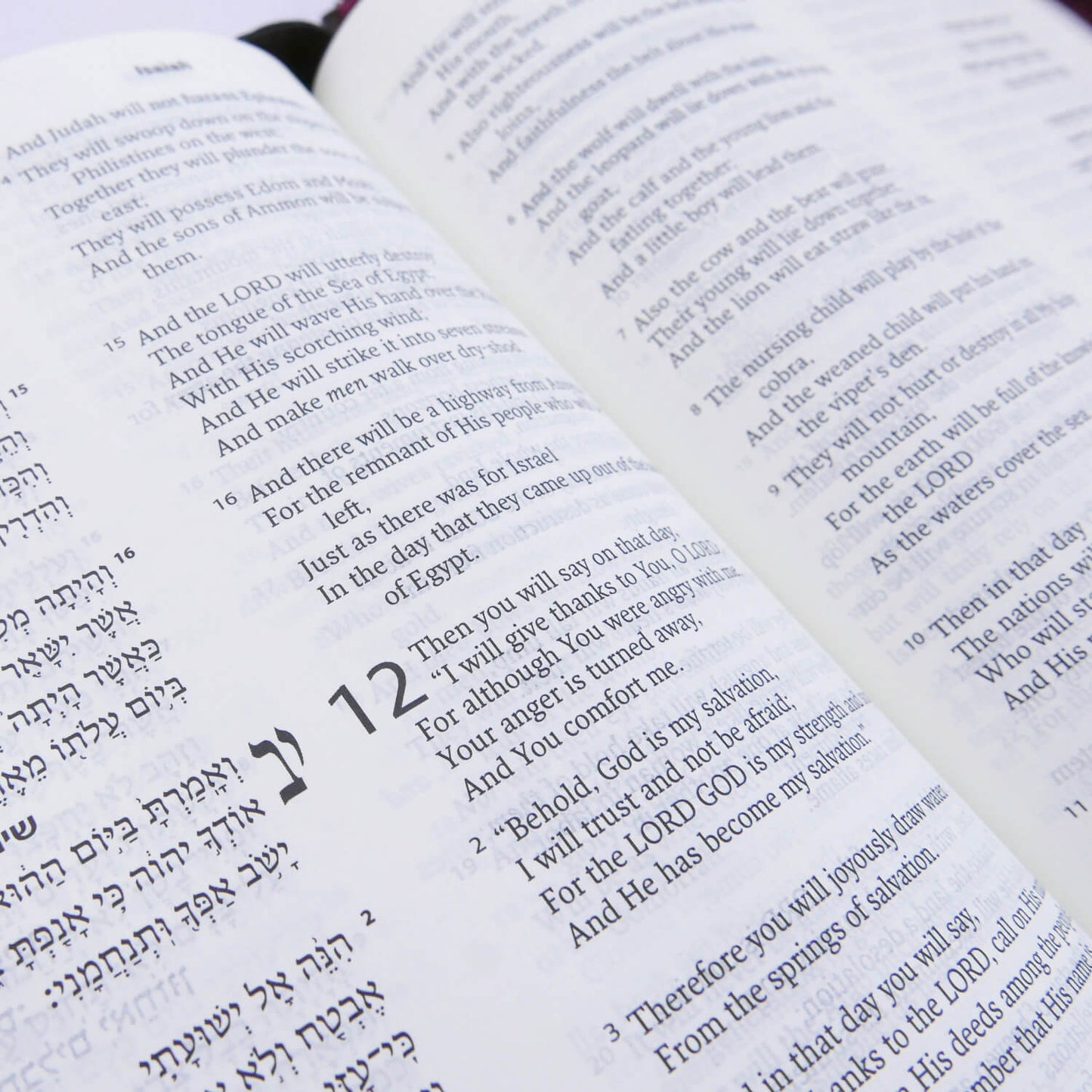 Leather Hebrew & English Bible – NASB