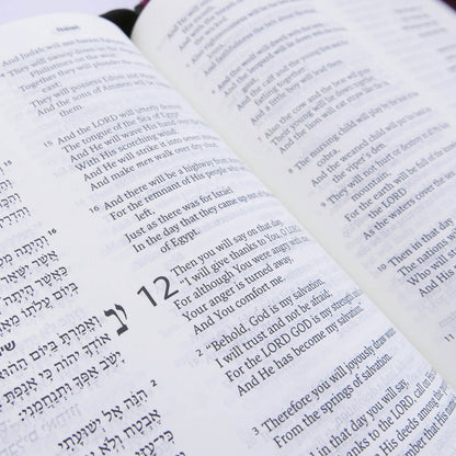 Leather Hebrew & English Bible – NASB