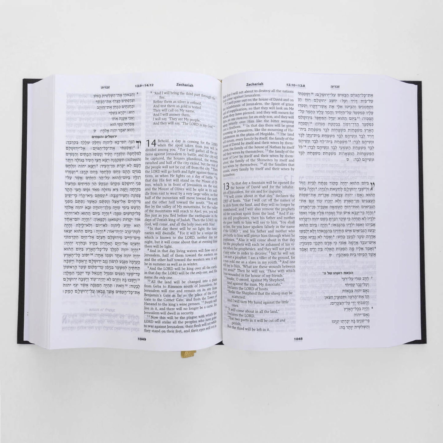 Leather Hebrew & English Bible – NASB