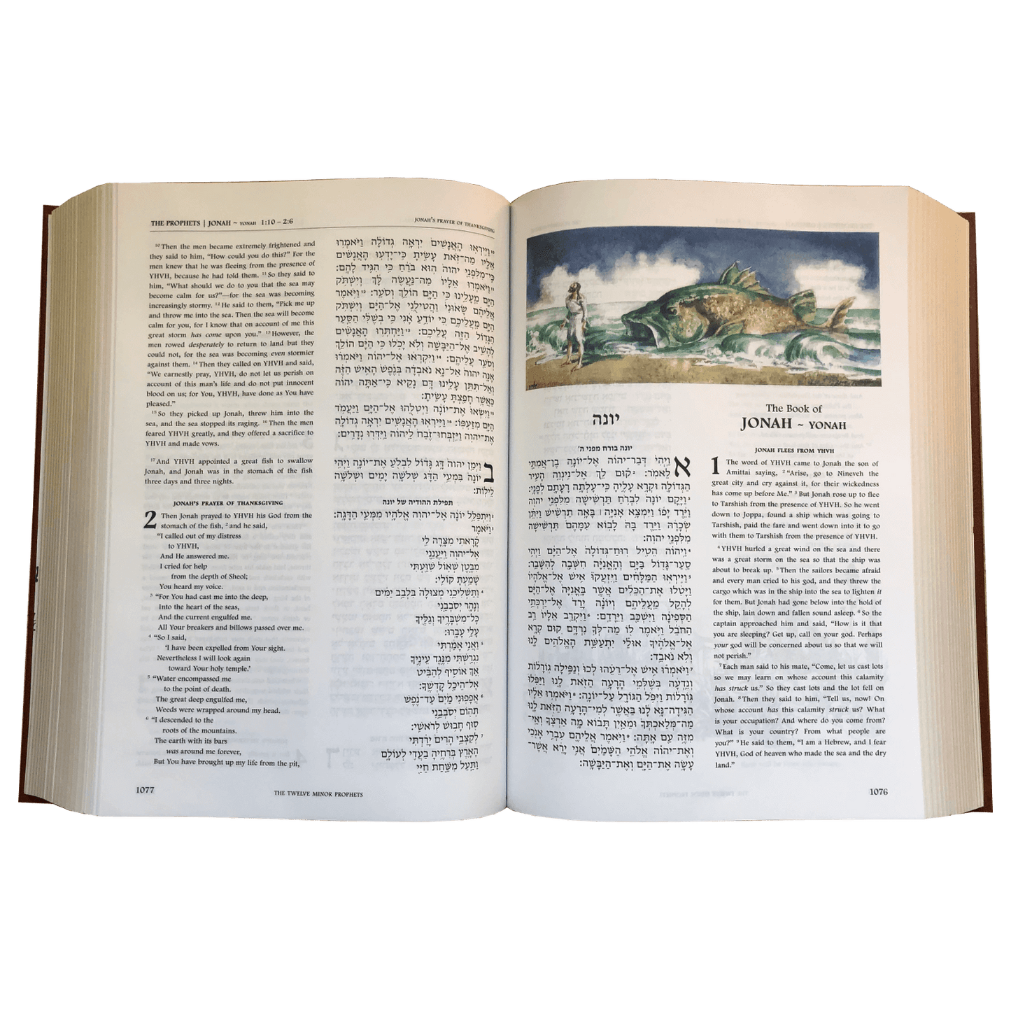 The Illustrated Hebrew & English Jerusalem Family Bible