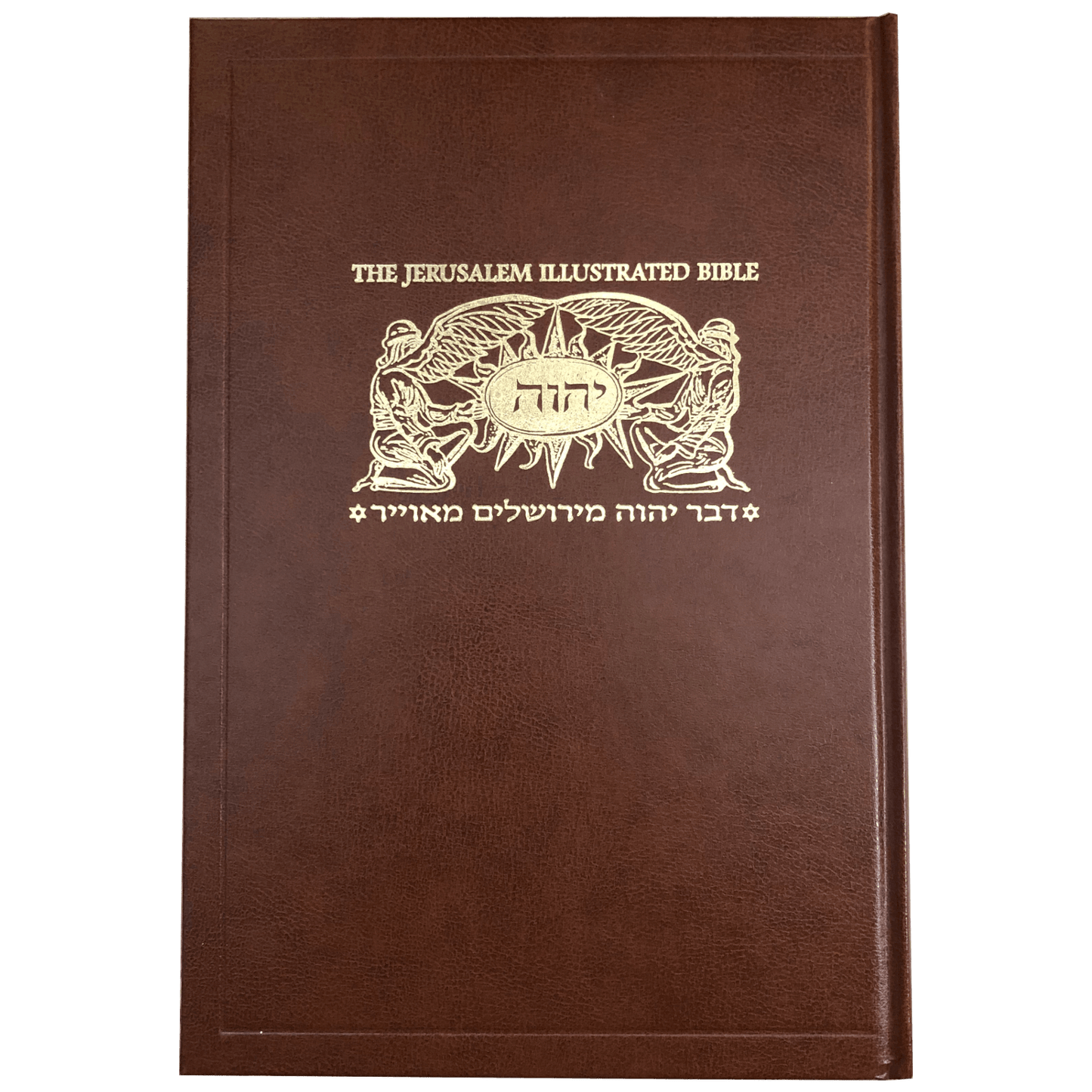 The Illustrated Hebrew & English Jerusalem Family Bible