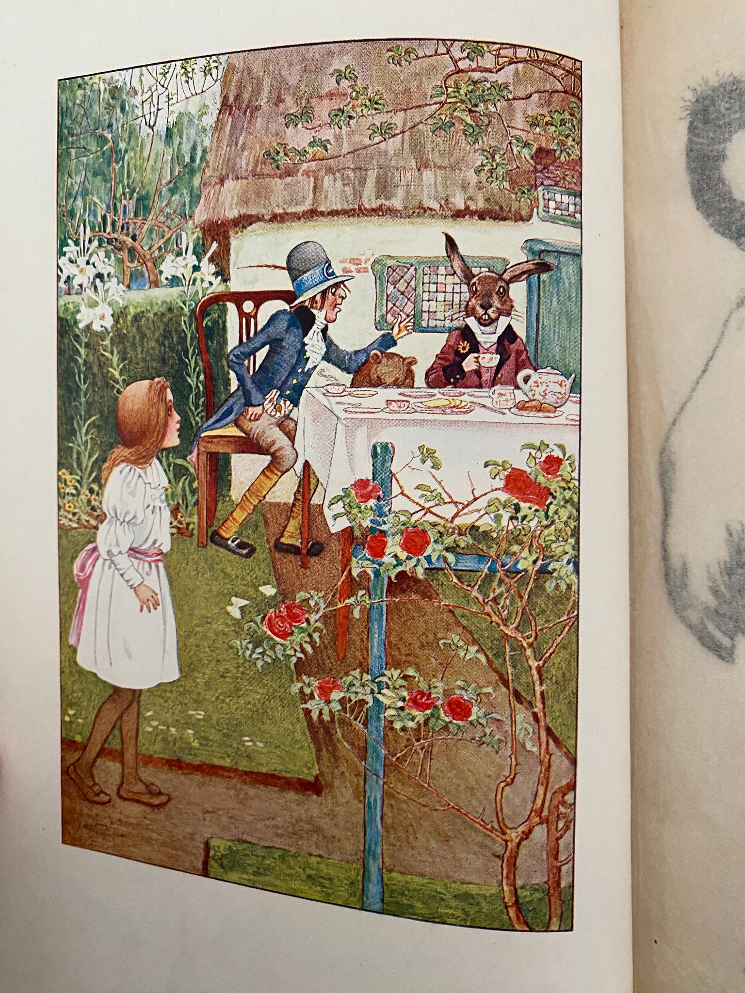 Alice in Wonderland | 1907 Rare 1st Edition | Illustrated by Millicent Sowerby