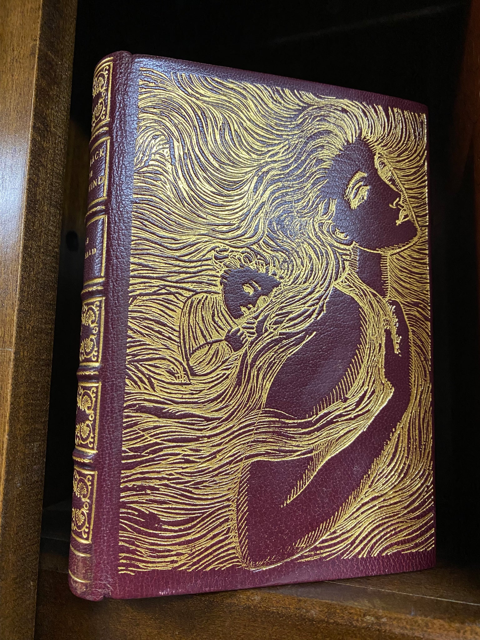 At the Back of the North Wind (First Edition - 1871)