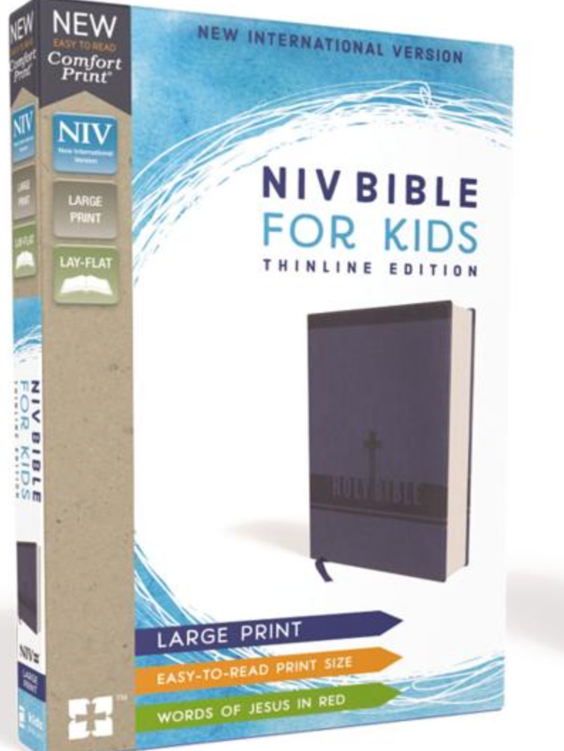 NIV For Kids Thinline edition