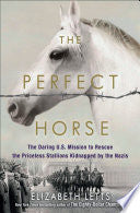 The Perfect Horse