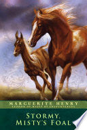 Stormy, Misty's Foal