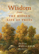 Wisdom From The Hidden Life of Trees (Inspired by the International Bestseller) by Peter Wohlleben, Jane Billinghurst