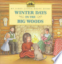 Winter Days in the Big Woods