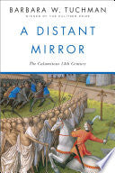A Distant Mirror