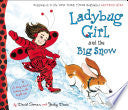 Ladybug Girl and the Big Snow