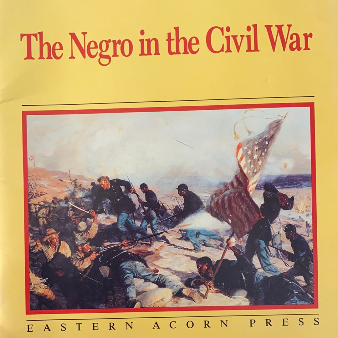 The Negro in the Civil War