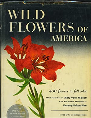 Wild Flowers of North America